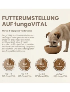 fungoVITAL WaldMenü Umami, Pilz 125g