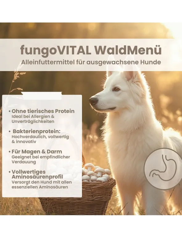 fungoVITAL WaldMenü Umami, Pilz 125g