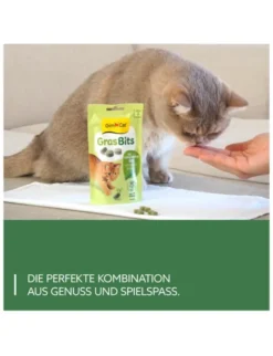 GimCat GrasBits Gras 40g