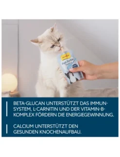GimCat High Protein Pudding High Protein Pudding 100g