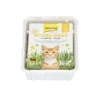GimCat Hydro-Gras 150g