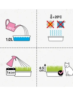 GimCat Katzengras Gras 150g