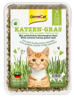 GimCat Katzengras Gras 150g