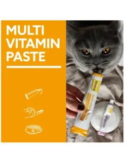 GimCat Multivitamin Paste Multi-Vitamin 100g