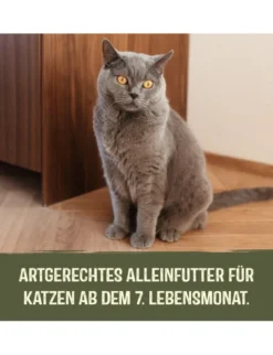 GimCat Near Nature Huhn + Forelle 85g