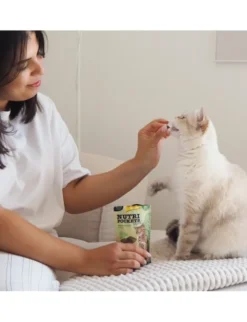 GimCat Nutri Pockets Insekt & Katzenminze 60g