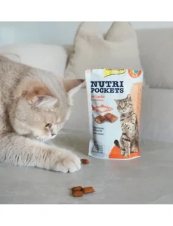 GimCat Nutri Pockets Lachs & Omega 3+6 60g