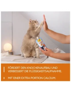 GimCat Pudding Pudding & Käse 100g