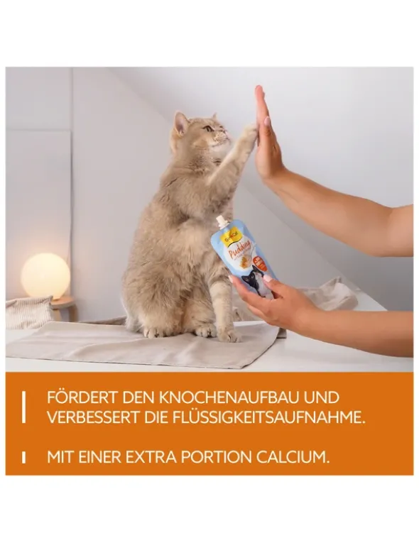 GimCat Pudding Pudding & Käse 100g