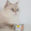 GimCat ShinyCat Brühe Huhn 70g