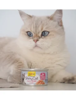 GimCat ShinyCat Brühe Huhn + Garnelen 70g