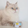 GimCat ShinyCat Brühe Thunfisch + Anchovis 70g