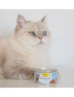 GimCat ShinyCat Brühe Thunfisch + Anchovis 70g