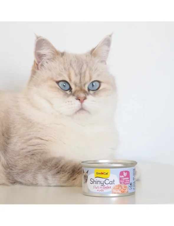 GimCat ShinyCat Jelly Huhn + Garnelen 70g