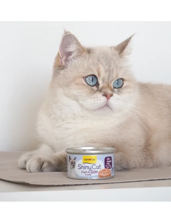 GimCat ShinyCat Jelly Thunfisch + Lachs 70g