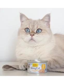 GimCat ShinyCat Jelly Thunfisch + Käse 70g