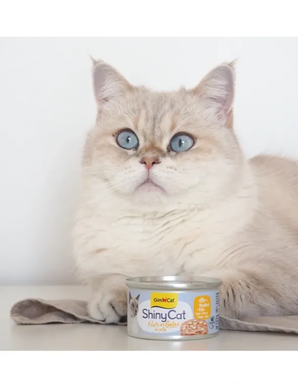 GimCat ShinyCat Jelly Thunfisch + Käse 70g
