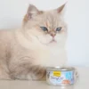 GimCat ShinyCat Jelly Thunfisch + Anchovis 70g