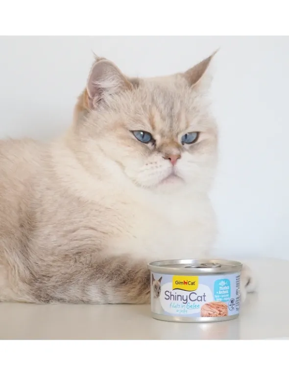 GimCat ShinyCat Jelly Thunfisch + Anchovis 70g