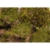 HUGRO BirdCare Moosfasern Natur Nestbau 30g