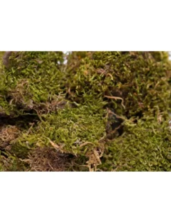 HUGRO BirdCare Moosfasern Natur Nestbau 30g