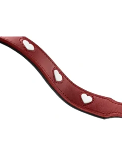 HUNTER Führleine Love rot, schwarz 2 m/13 mm