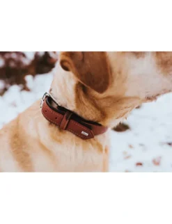 HUNTER Halsband Canadian Up cognac 40 cm