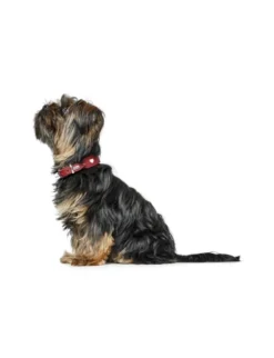 HUNTER Halsband Love rot, schwarz 32 cm
