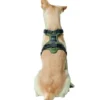 HUNTER Hundegeschirr Divo grau, grün XS