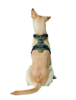 HUNTER Hundegeschirr Divo grau, grün XS