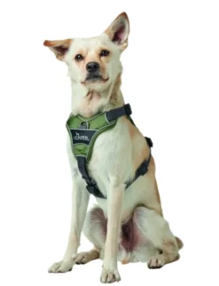 HUNTER Hundegeschirr Divo grau, grün XS