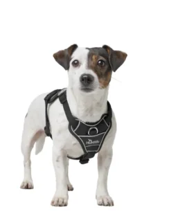 HUNTER Hundegeschirr Divo Up schwarz XS