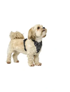 HUNTER Hundegeschirr Divo Up schwarz XS