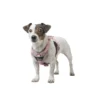 HUNTER Hundegeschirr Divo Up altrosa XS