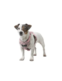 HUNTER Hundegeschirr Divo Up altrosa XS