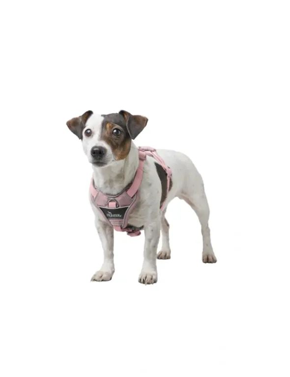 HUNTER Hundegeschirr Divo Up altrosa XS