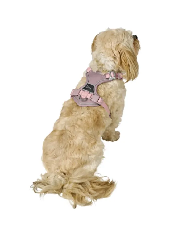 HUNTER Hundegeschirr Divo Up altrosa XS