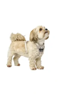 HUNTER Hundegeschirr Divo Up taupe XS
