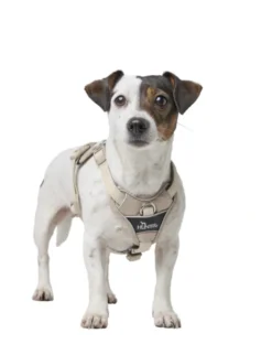 HUNTER Hundegeschirr Divo Up taupe XS