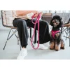 HUNTER Hundegeschirr Hilo Comfort pink XXS/XS