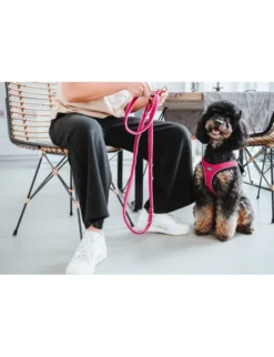 HUNTER Hundegeschirr Hilo Comfort pink XXS/XS