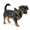 HUNTER Hundegeschirr Hilo Comfort lindgrün XXS