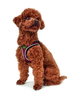 HUNTER Hundegeschirr Hilo Comfort rot XXS