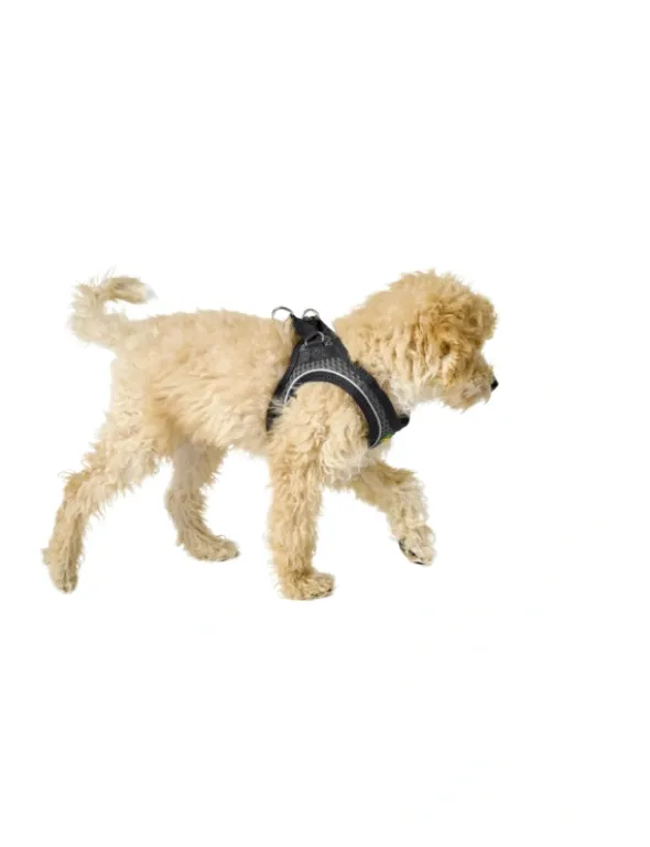 HUNTER Hundegeschirr Hilo Comfort anthrazit XXS
