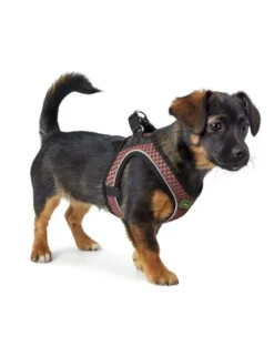 HUNTER Hundegeschirr Hilo Comfort altrosa XXS
