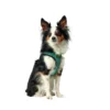 HUNTER Hundegeschirr Hilo Comfort türkis XXS