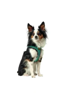 HUNTER Hundegeschirr Hilo Comfort türkis XXS