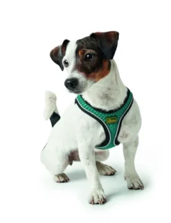HUNTER Hundegeschirr Hilo Comfort türkis XXS