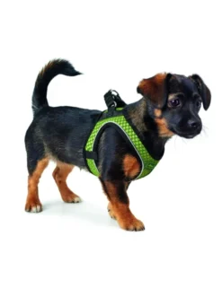 HUNTER Hundegeschirr Hilo Comfort lime XXS