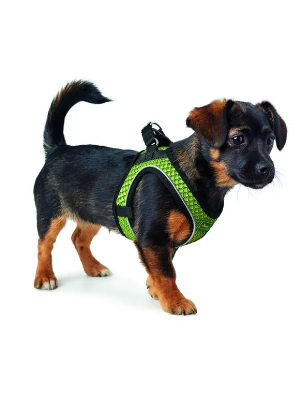 HUNTER Hundegeschirr Hilo Comfort lime XXS